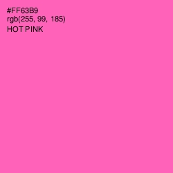 #FF63B9 - Hot Pink Color Image